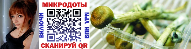 наркота  Чистополь  Псилоцибиновые грибы Magic Shrooms 