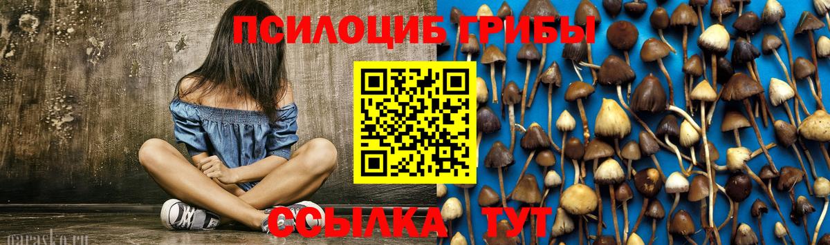 Галлюциногенные грибы MAGIC MUSHROOMS Чистополь